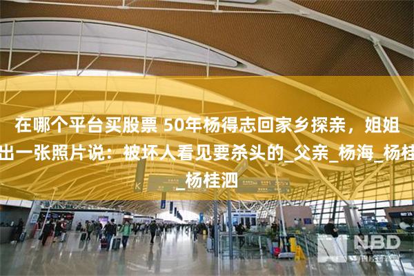 在哪个平台买股票 50年杨得志回家乡探亲，姐姐拿出一张照片说：被坏人看见要杀头的_父亲_杨海_杨桂泗