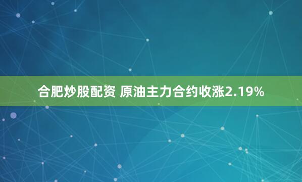 合肥炒股配资 原油主力合约收涨2.19%