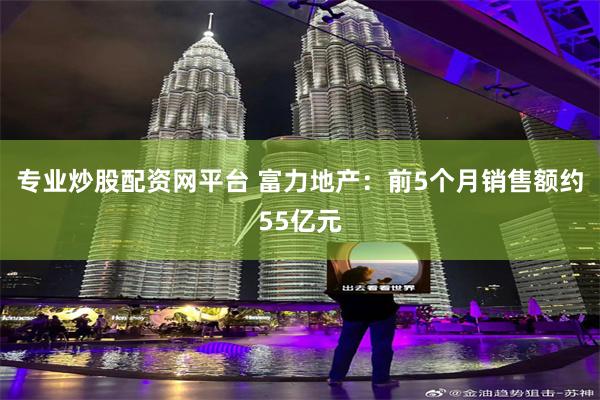 专业炒股配资网平台 富力地产：前5个月销售额约55亿元