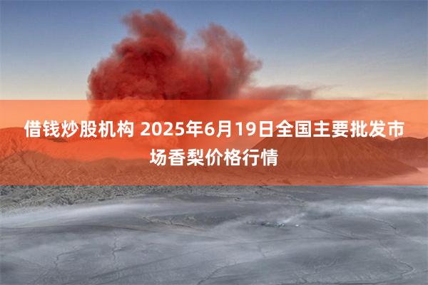 借钱炒股机构 2025年6月19日全国主要批发市场香梨价格行情