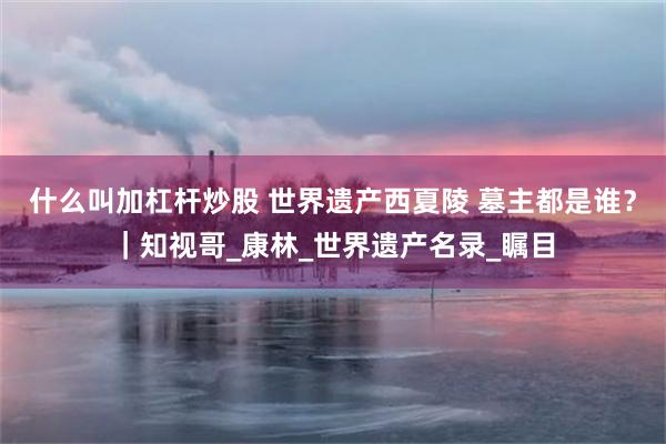 什么叫加杠杆炒股 世界遗产西夏陵 墓主都是谁？｜知视哥_康林_世界遗产名录_瞩目