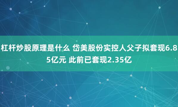 杠杆炒股原理是什么 岱美股份实控人父子拟套现6.85亿元 此前已套现2.35亿