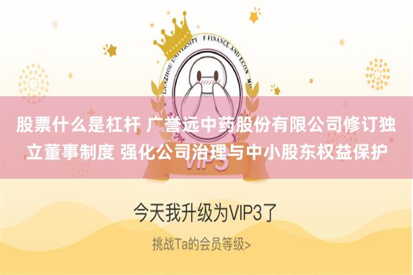 股票什么是杠杆 广誉远中药股份有限公司修订独立董事制度 强化公司治理与中小股东权益保护