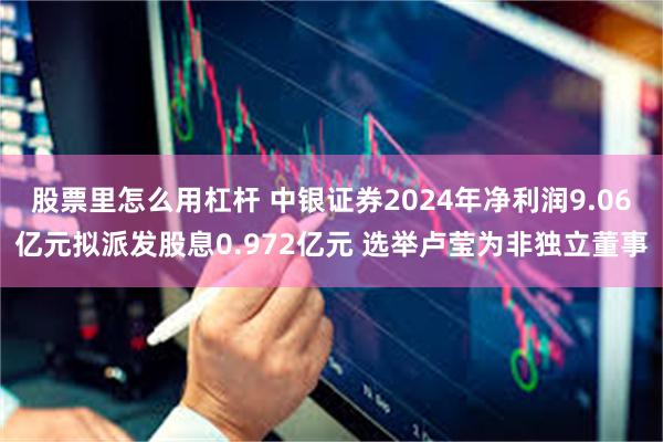 股票里怎么用杠杆 中银证券2024年净利润9.06亿元拟派发股息0.972亿元 选举卢莹为非独立董事