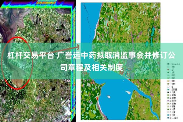 杠杆交易平台 广誉远中药拟取消监事会并修订公司章程及相关制度