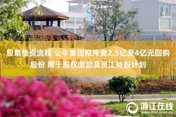 股票垫资流程 公牛集团拟斥资2.5亿至4亿元回购股份 用于股权激励及员工持股计划