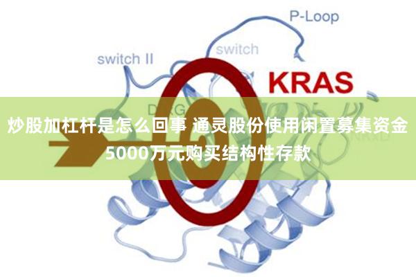 炒股加杠杆是怎么回事 通灵股份使用闲置募集资金5000万元购买结构性存款