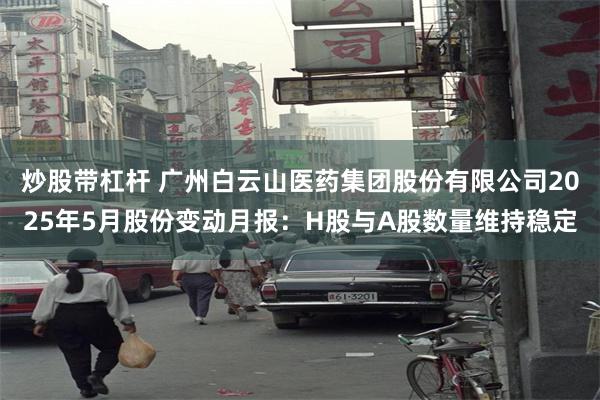 炒股带杠杆 广州白云山医药集团股份有限公司2025年5月股份变动月报：H股与A股数量维持稳定