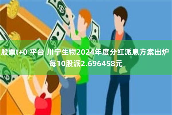 股票t+0 平台 川宁生物2024年度分红派息方案出炉 每10股派2.696458元