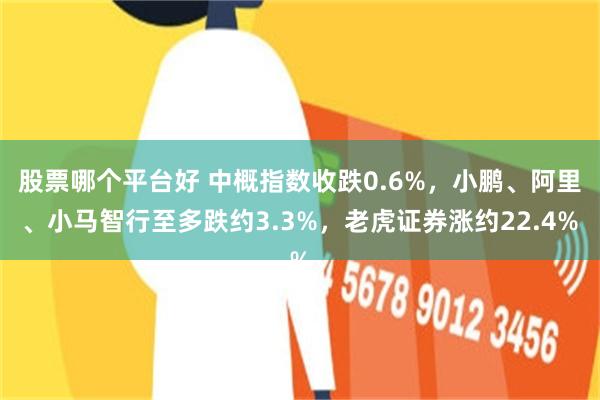 股票哪个平台好 中概指数收跌0.6%，小鹏、阿里、小马智行至多跌约3.3%，老虎证券涨约22.4%