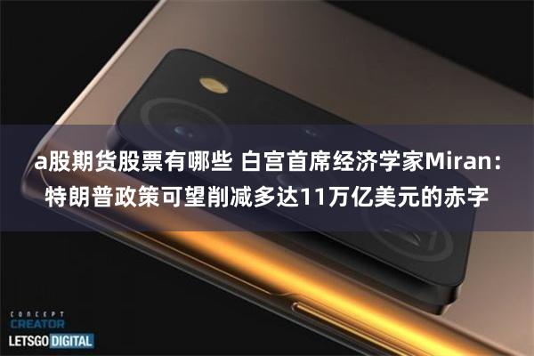 a股期货股票有哪些 白宫首席经济学家Miran：特朗普政策可望削减多达11万亿美元的赤字