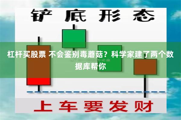 杠杆买股票 不会鉴别毒蘑菇？科学家建了两个数据库帮你