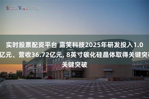 实时股票配资平台 露笑科技2025年研发投入1.01亿元、营收36.72亿元, 8英寸碳化硅晶体取得关键突破