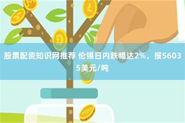 股票配资知识网推荐 伦锡日内跌幅达2%，报56035美元/吨