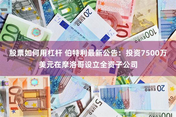 股票如何用杠杆 伯特利最新公告：投资7500万美元在摩洛哥设立全资子公司