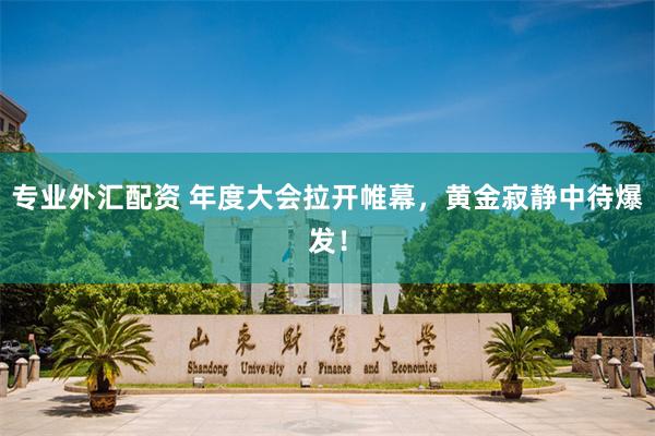专业外汇配资 年度大会拉开帷幕，黄金寂静中待爆发！