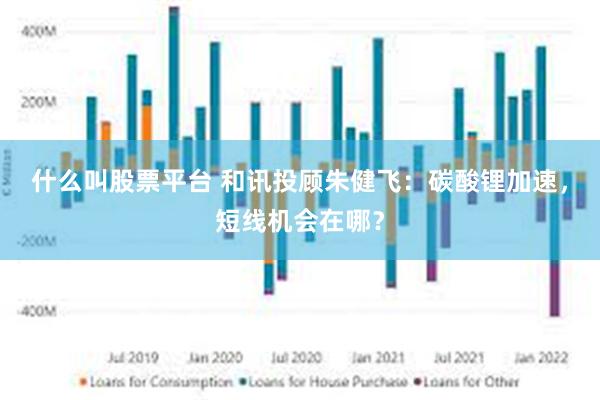 什么叫股票平台 和讯投顾朱健飞：碳酸锂加速，短线机会在哪？