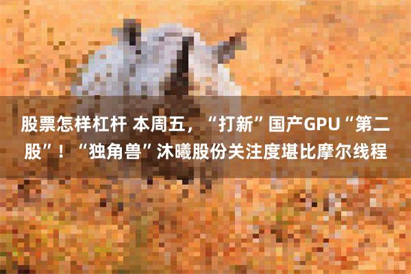 股票怎样杠杆 本周五，“打新”国产GPU“第二股”！“独角兽”沐曦股份关注度堪比摩尔线程