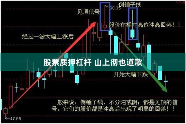 股票质押杠杆 山上彻也道歉