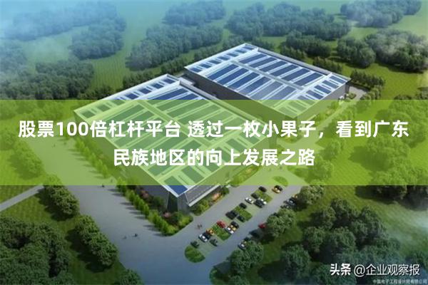股票100倍杠杆平台 透过一枚小果子，看到广东民族地区的向上发展之路