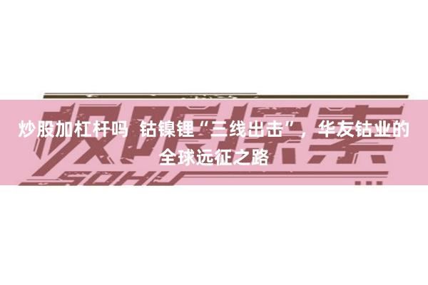 炒股加杠杆吗  钴镍锂“三线出击”，华友钴业的全球远征之路