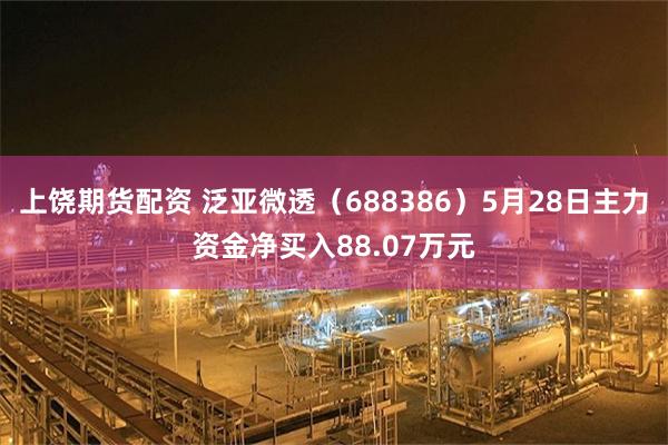 上饶期货配资 泛亚微透（688386）5月28日主力资金净买入88.07万元