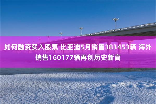 如何融资买入股票 比亚迪5月销售383453辆 海外销售160177辆再创历史新高