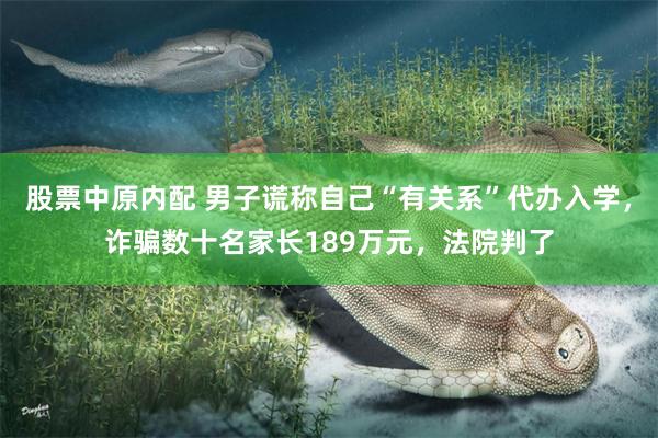 股票中原内配 男子谎称自己“有关系”代办入学，诈骗数十名家长189万元，法院判了