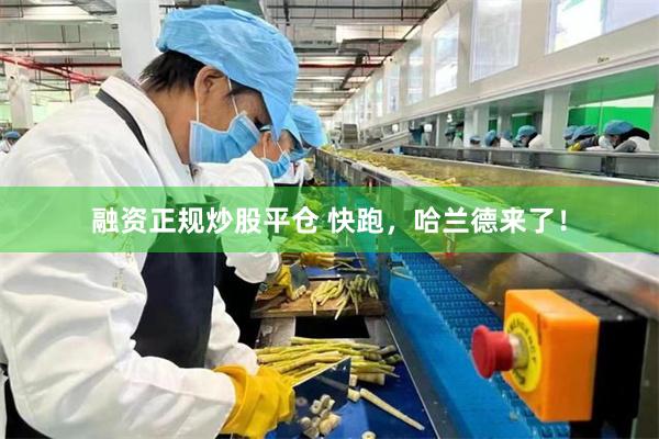融资正规炒股平仓 快跑,哈兰德来了!