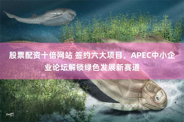 股票配资十倍网站 签约六大项目，APEC中小企业论坛解锁绿色发展新赛道