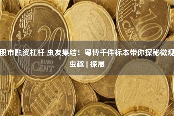 股市融资杠杆 虫友集结！粤博千件标本带你探秘微观虫趣 | 探展