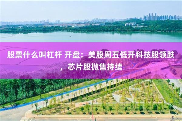 股票什么叫杠杆 开盘：美股周五低开科技股领跌，芯片股抛售持续
