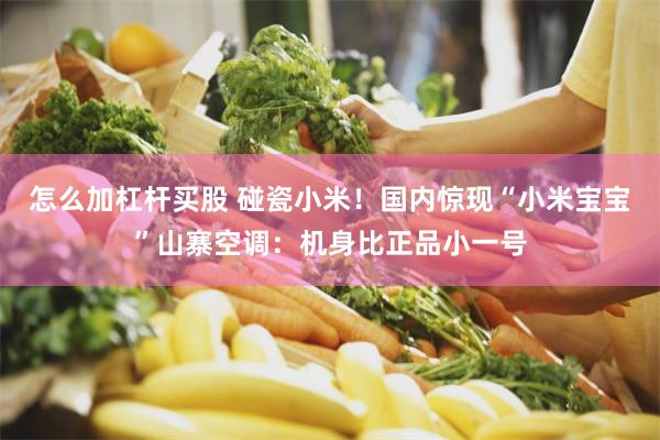 怎么加杠杆买股 碰瓷小米！国内惊现“小米宝宝”山寨空调：机身比正品小一号