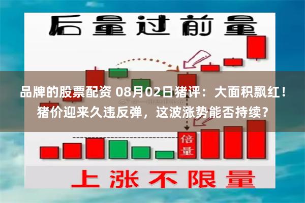 品牌的股票配资 08月02日猪评：大面积飘红！猪价迎来久违反弹，这波涨势能否持续？