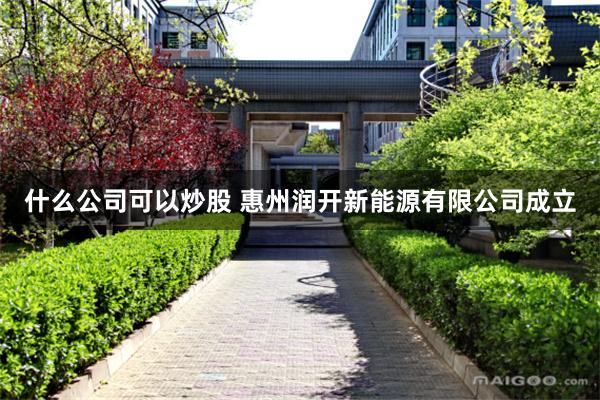 什么公司可以炒股 惠州润开新能源有限公司成立