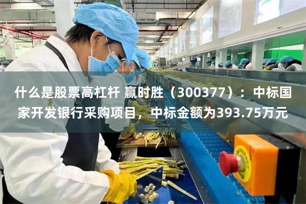 什么是股票高杠杆 赢时胜（300377）：中标国家开发银行采购项目，中标金额为393.75万元