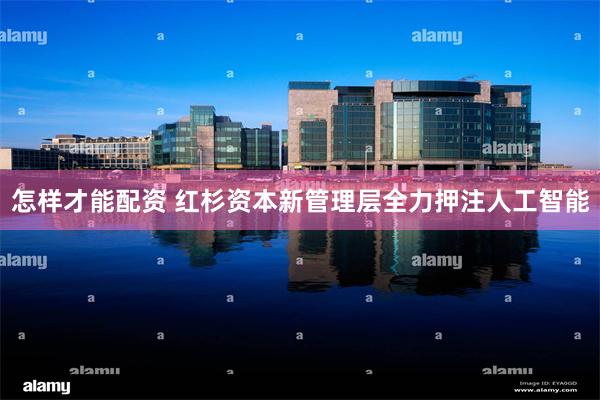 怎样才能配资 红杉资本新管理层全力押注人工智能