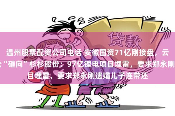 温州股票配资公司电话 安徽国资71亿刚接盘，云南国资19亿诉讼“砸向”杉杉股份：97亿锂电项目埋雷，要求郑永刚遗孀儿子连带还