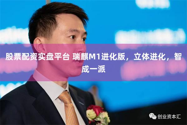股票配资实盘平台 瑞麒M1进化版，立体进化，智成一派