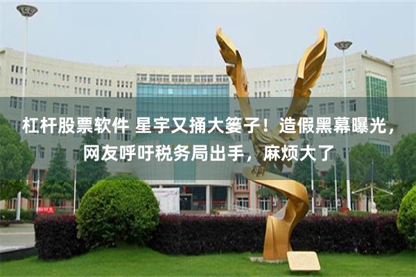 杠杆股票软件 星宇又捅大篓子！造假黑幕曝光，网友呼吁税务局出手，麻烦大了