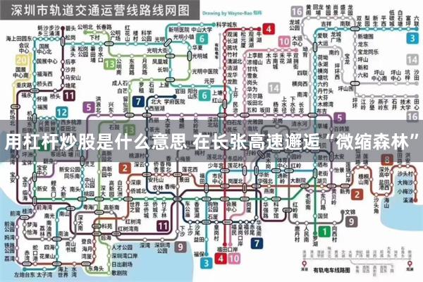 用杠杆炒股是什么意思 在长张高速邂逅“微缩森林”