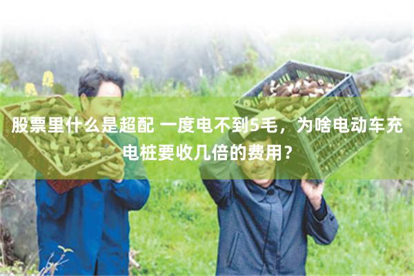 股票里什么是超配 一度电不到5毛，为啥电动车充电桩要收几倍的费用？