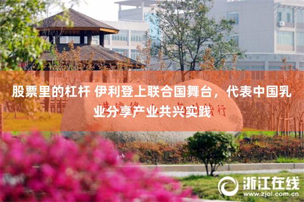 股票里的杠杆 伊利登上联合国舞台，代表中国乳业分享产业共兴实践