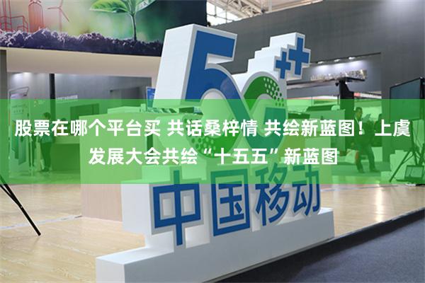 股票在哪个平台买 共话桑梓情 共绘新蓝图！上虞发展大会共绘“十五五”新蓝图