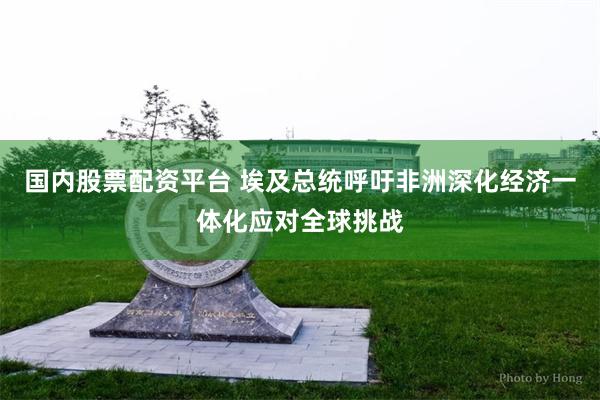 国内股票配资平台 埃及总统呼吁非洲深化经济一体化应对全球挑战