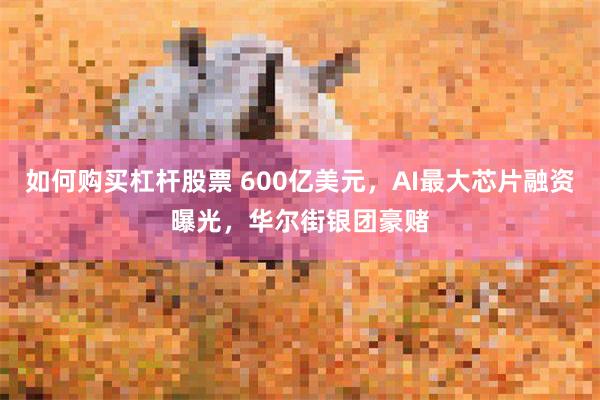 如何购买杠杆股票 600亿美元，AI最大芯片融资曝光，华尔街银团豪赌