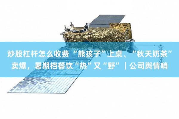 炒股杠杆怎么收费 “熊孩子”上桌、“秋天奶茶”卖爆，暑期档餐饮“热”又“野”｜公司舆情哨